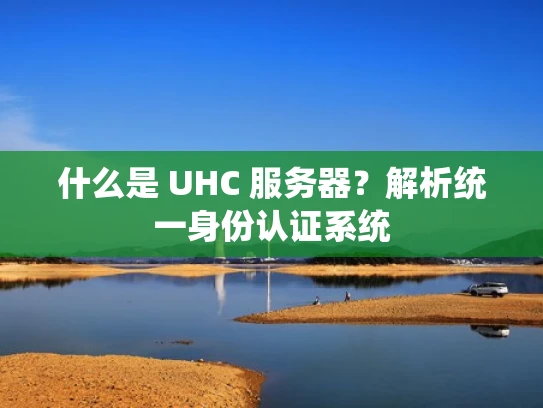 什么是 UHC 服务器？解析统一身份认证系统