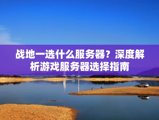 战地一选什么服务器？深度解析游戏服务器选择指南