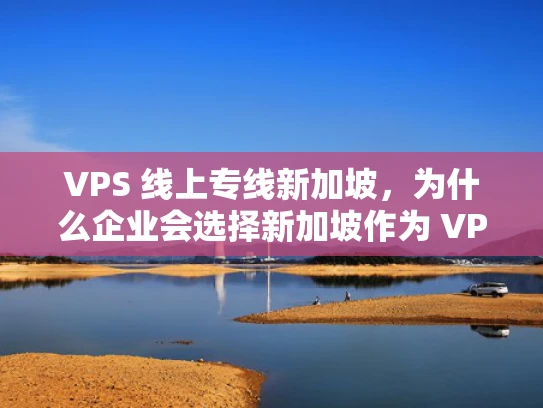 VPS 线上专线新加坡，为什么企业会选择新加坡作为 VPS 服务的首选地？