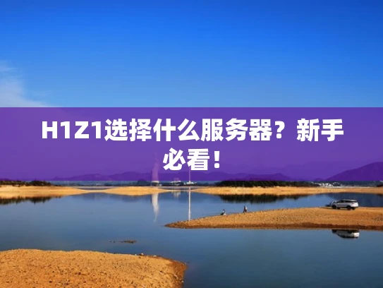 H1Z1选择什么服务器？新手必看！