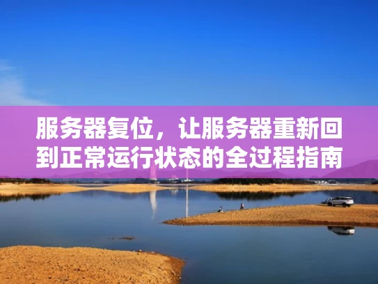 服务器复位，让服务器重新回到正常运行状态的全过程指南