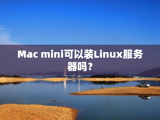 Mac mini可以装Linux服务器吗？