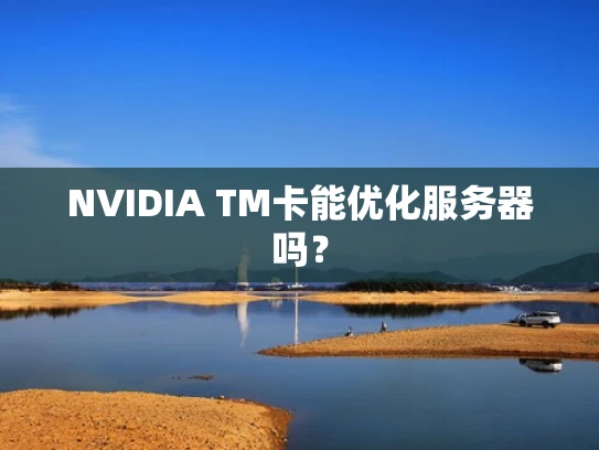 NVIDIA TM卡能优化服务器吗？