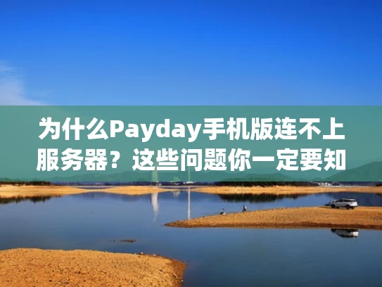为什么Payday手机版连不上服务器？这些问题你一定要知道！