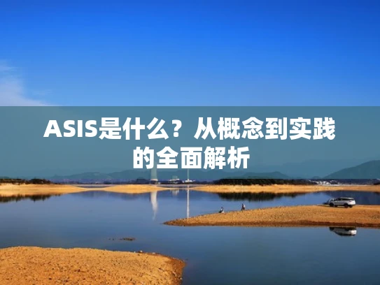 ASIS是什么？从概念到实践的全面解析