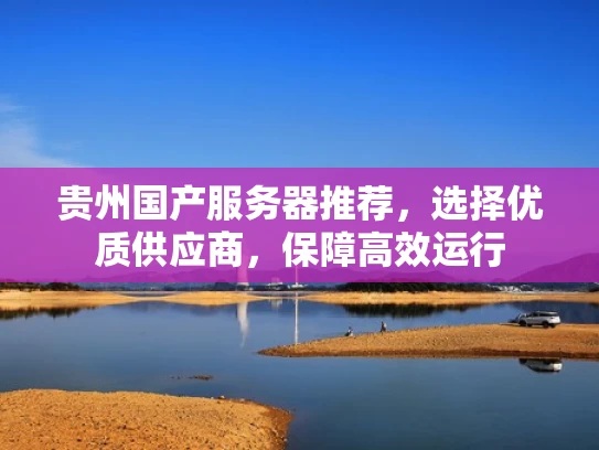 贵州国产服务器推荐，选择优质供应商，保障高效运行