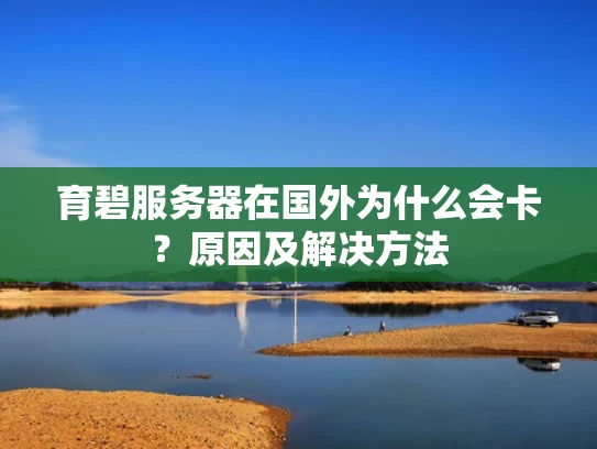 育碧服务器在国外为什么会卡？原因及解决方法