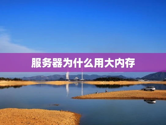 服务器为什么用大内存