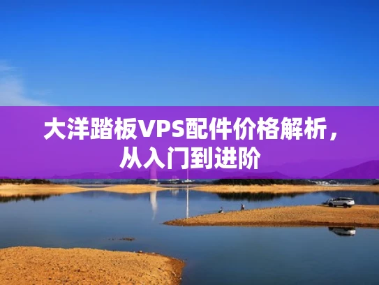 大洋踏板VPS配件价格解析，从入门到进阶