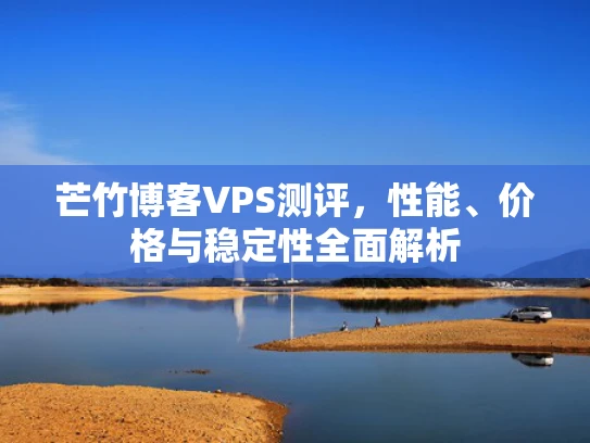 芒竹博客VPS测评，性能、价格与稳定性全面解析