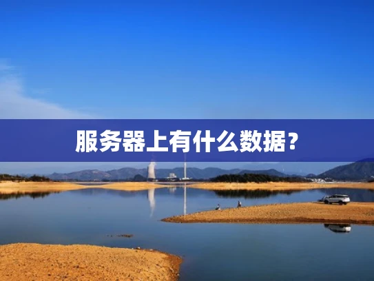 服务器上有什么数据？