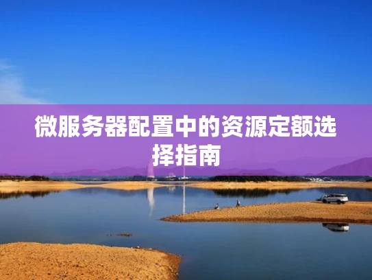 微服务器配置中的资源定额选择指南