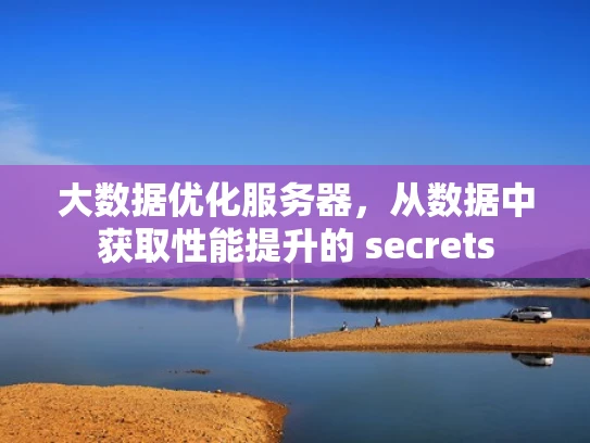 大数据优化服务器，从数据中获取性能提升的 secrets