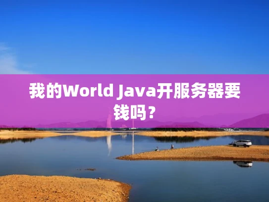 我的World Java开服务器要钱吗？
