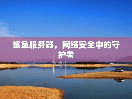 鲨鱼服务器，网络安全中的守护者