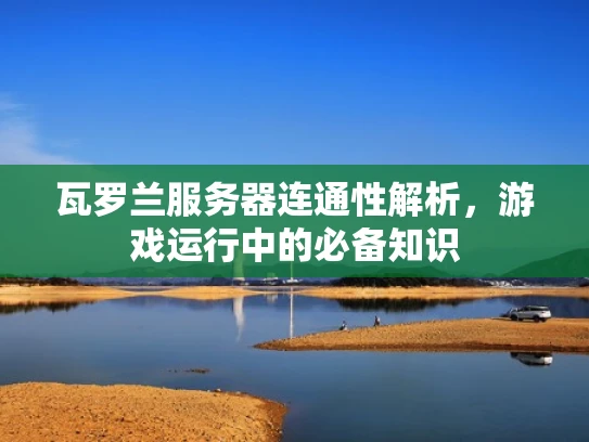 瓦罗兰服务器连通性解析，游戏运行中的必备知识