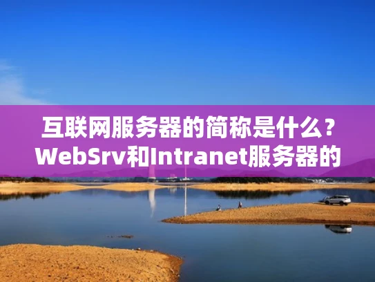 互联网服务器的简称是什么？WebSrv和Intranet服务器的全称解析