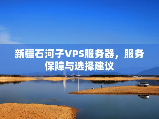新疆石河子VPS服务器，服务保障与选择建议