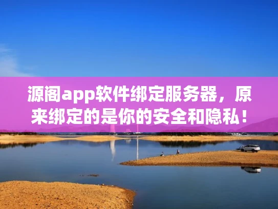 源阁app软件绑定服务器，原来绑定的是你的安全和隐私！