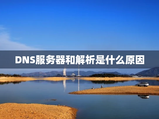 DNS服务器和解析是什么原因