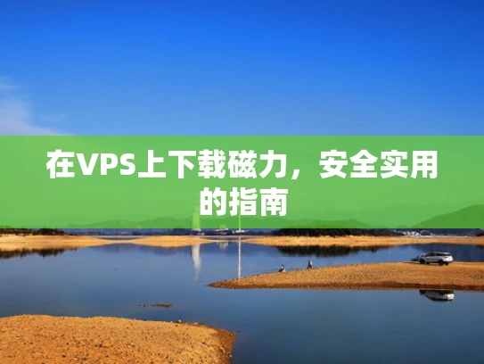 在VPS上下载磁力，安全实用的指南