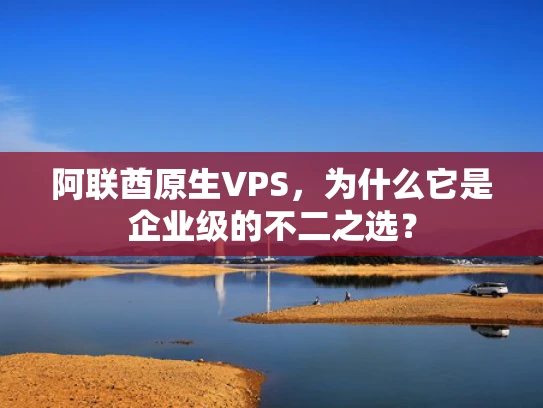 阿联酋原生VPS，为什么它是企业级的不二之选？