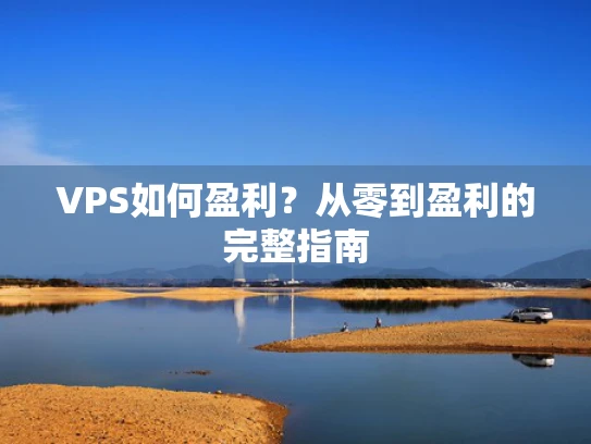 VPS如何盈利？从零到盈利的完整指南