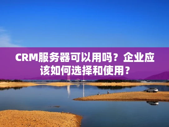 CRM服务器可以用吗？企业应该如何选择和使用？