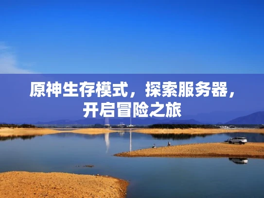 原神生存模式，探索服务器，开启冒险之旅