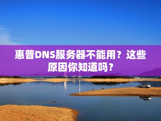 惠普DNS服务器不能用？这些原因你知道吗？
