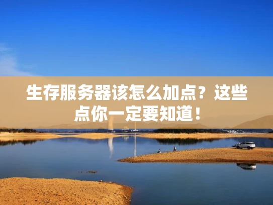 生存服务器该怎么加点？这些点你一定要知道！