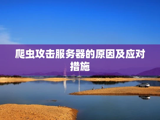 爬虫攻击服务器的原因及应对措施