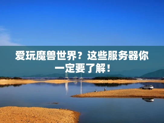 爱玩魔兽世界？这些服务器你一定要了解！