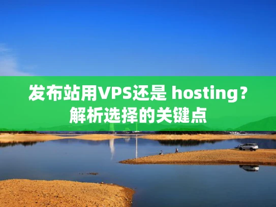 发布站用VPS还是 hosting？解析选择的关键点