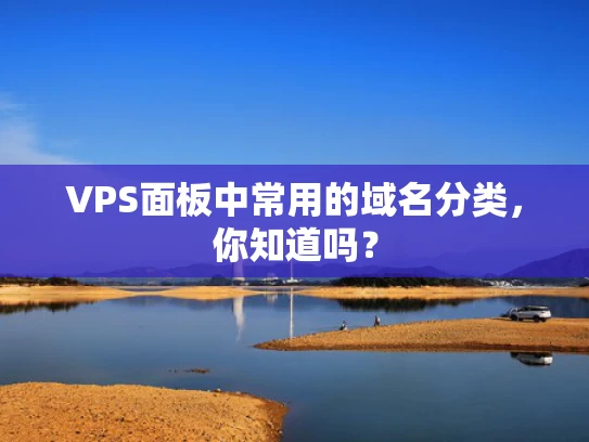 VPS面板中常用的域名分类，你知道吗？