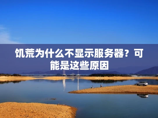 饥荒为什么不显示服务器？可能是这些原因