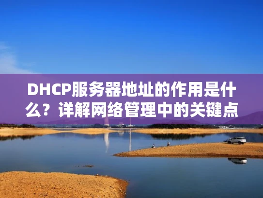 DHCP服务器地址的作用是什么？详解网络管理中的关键点