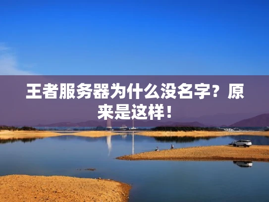 王者服务器为什么没名字？原来是这样！