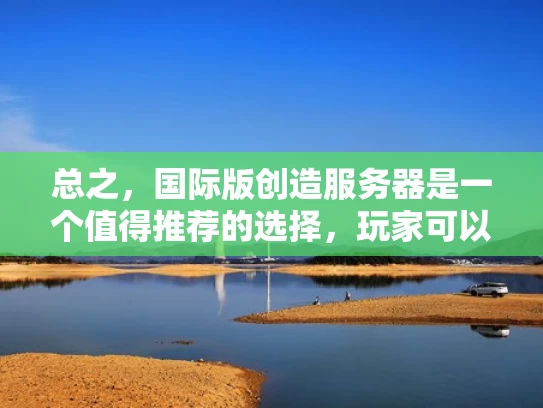 总之，国际版创造服务器是一个值得推荐的选择，玩家可以通过选择合适的服务器，享受到更好的游戏体验。希望以上分析对玩家有所帮助，祝大家在创造与魔法中玩得愉快！