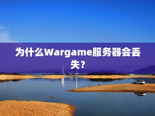 为什么Wargame服务器会丢失？