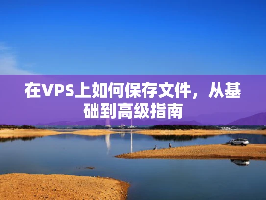 在VPS上如何保存文件，从基础到高级指南