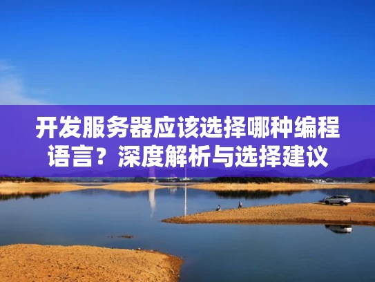 开发服务器应该选择哪种编程语言？深度解析与选择建议