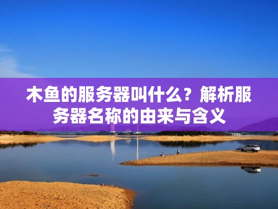木鱼的服务器叫什么？解析服务器名称的由来与含义