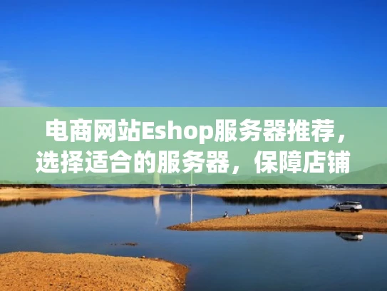 电商网站Eshop服务器推荐，选择适合的服务器，保障店铺高效运营
