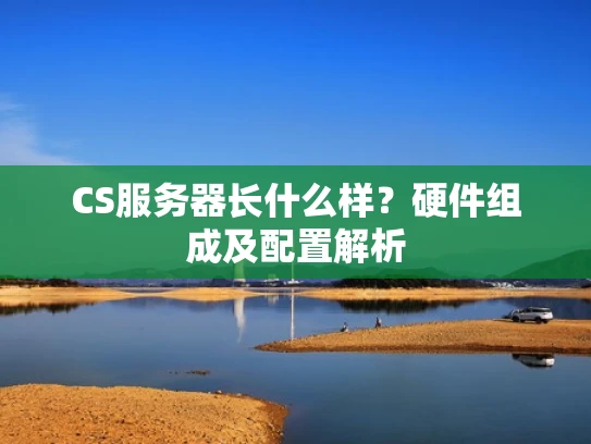 CS服务器长什么样？硬件组成及配置解析