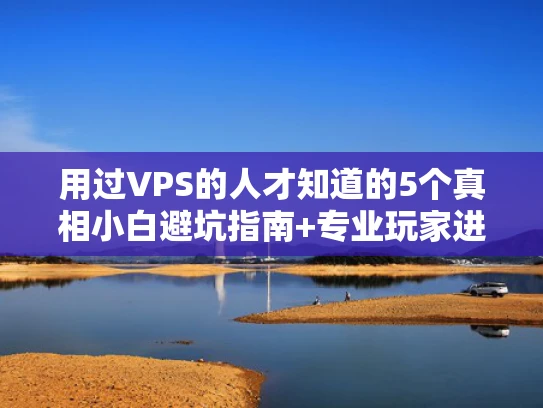 用过VPS的人才知道的5个真相小白避坑指南+专业玩家进阶攻略