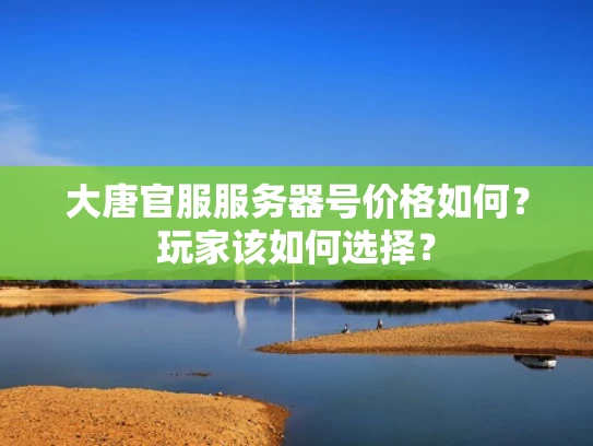 大唐官服服务器号价格如何？玩家该如何选择？