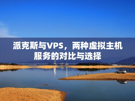派克斯与VPS，两种虚拟主机服务的对比与选择