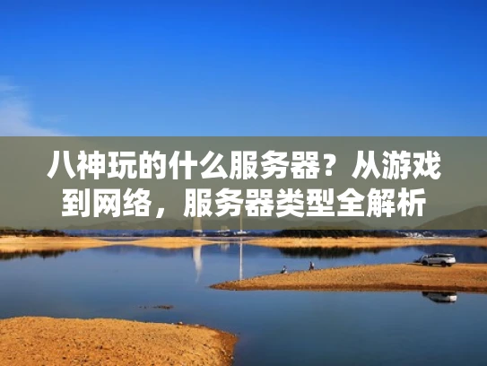 八神玩的什么服务器？从游戏到网络，服务器类型全解析