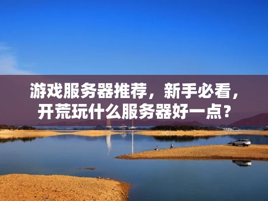 游戏服务器推荐，新手必看，开荒玩什么服务器好一点？